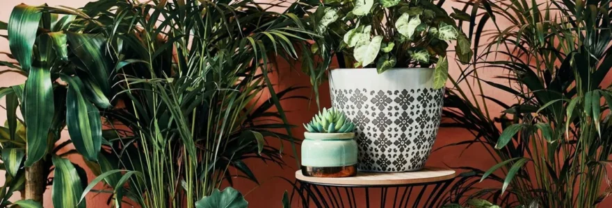 Comment aménager un jardin d interieur