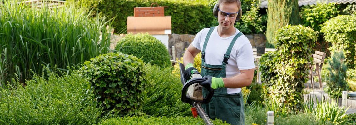 Trouver un paysagiste dans le 77 pour s’occuper de vos espaces verts