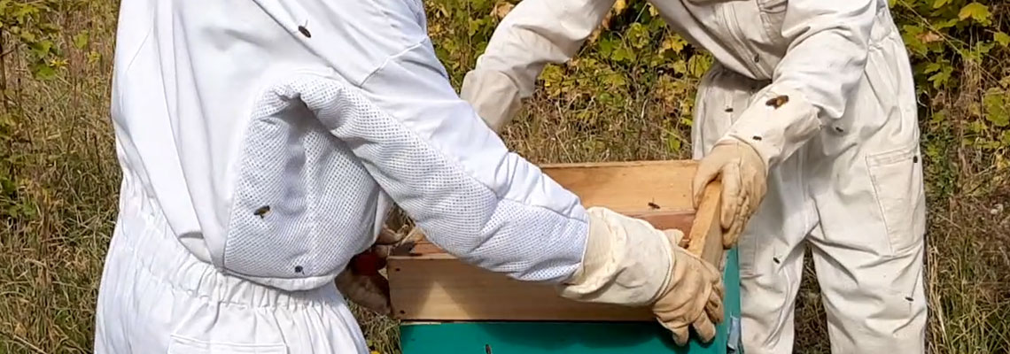 Vêtements d'apiculture